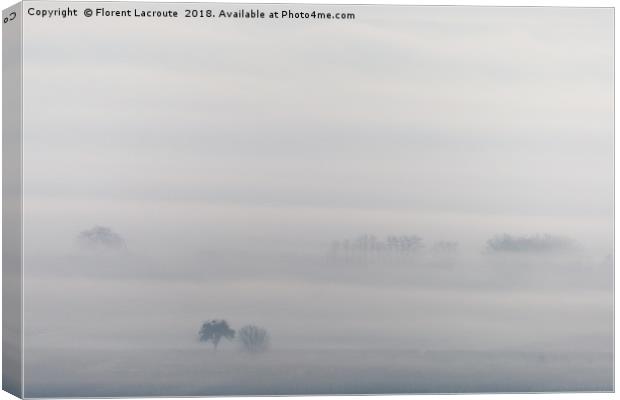 Trees in the mist Canvas Print by Florent Lacroute