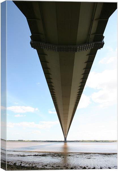 under the humber Canvas Print by martin compton
