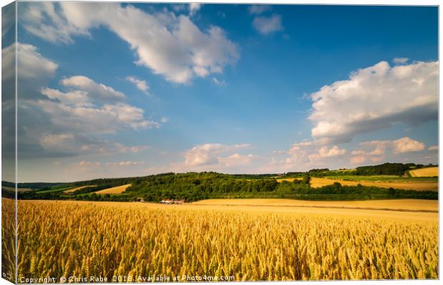 Chiltern Hills countryside  Canvas Print by Chris Rabe