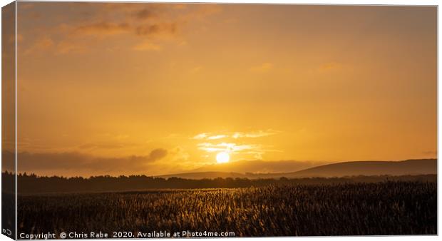 Sunrise over reedbeds from swineham point Canvas Print by Chris Rabe