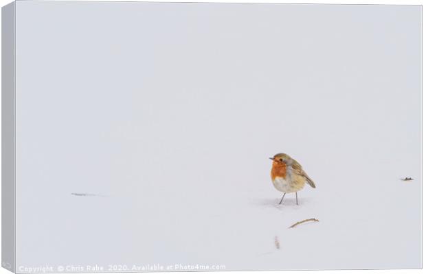 European Robin in snow Canvas Print by Chris Rabe