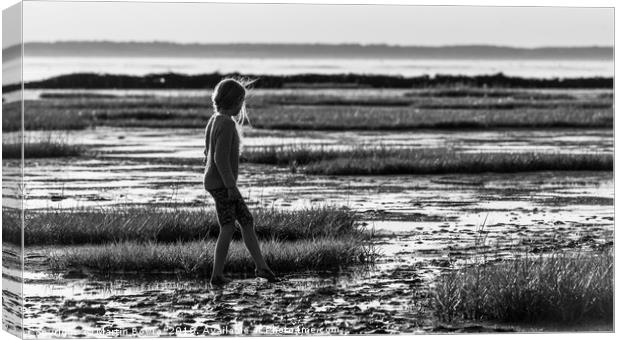 Alone at the marshes Canvas Print by Martin Bowra