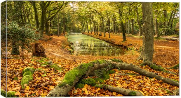 An Autumn landscape scene Canvas Print by Martin Bowra