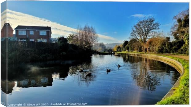 Geese Enjoying the Canal Canvas Print by Steve WP