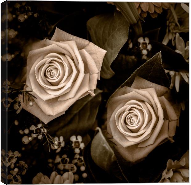 Retro Roses Canvas Print by Wendy Corrigan