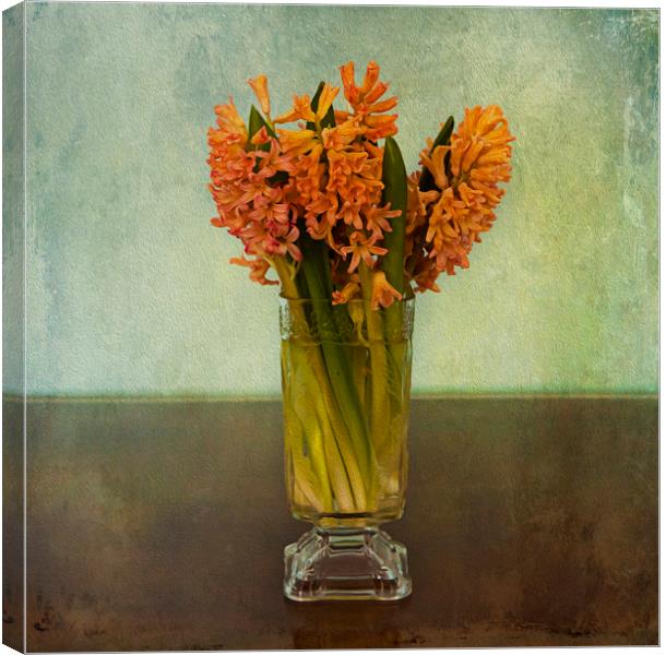 Digital fine art, hyacinth bouquet in glass Canvas Print by Luisa Vallon Fumi