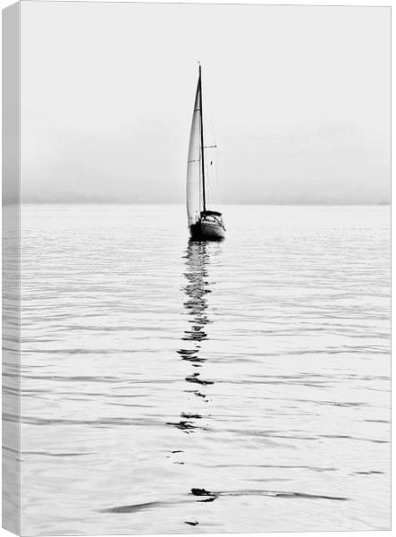 sailboat on calm waters Canvas Print by Luisa Vallon Fumi