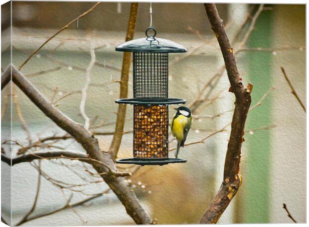  Marsh tit hanging on the seed feeder Canvas Print by Luisa Vallon Fumi