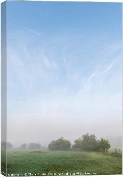 Whimsical foggy pasture and surprising blue sky Canvas Print by Claire Smith