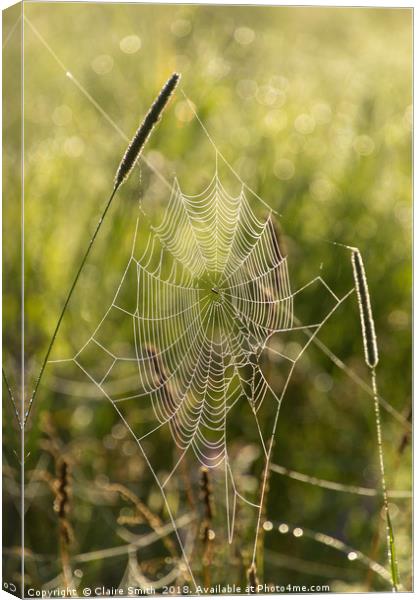 Dew covered cobwebs at dawn on a summer morning Canvas Print by Claire Smith