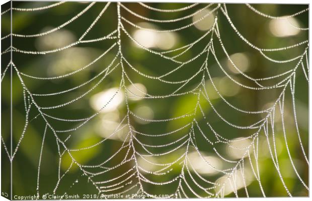 Abstract close-up glistening dew covered cobweb Canvas Print by Claire Smith