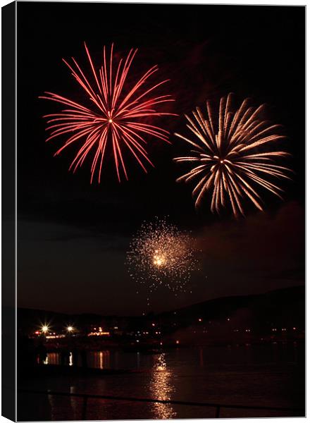 Firework Canvas Print by Anuj Nagpal