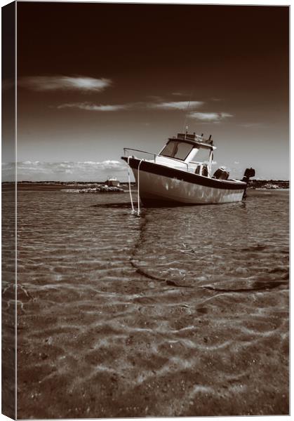 White boat on sand in sepia Canvas Print by youri Mahieu
