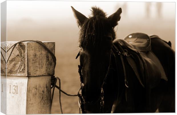horse waiting in fog in sepia Canvas Print by youri Mahieu