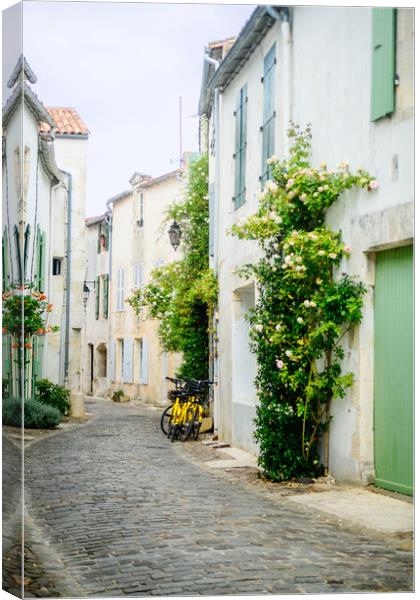 alley on ile de Ré Canvas Print by youri Mahieu