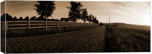 paving sett road in autumnal sunlight in sepia Canvas Print by youri Mahieu