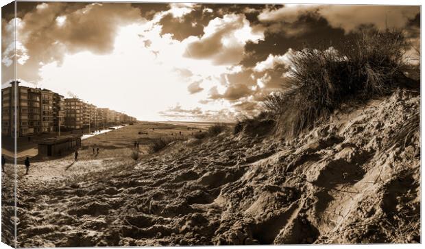 dune with sawgrass at Koksijde in sepia Canvas Print by youri Mahieu