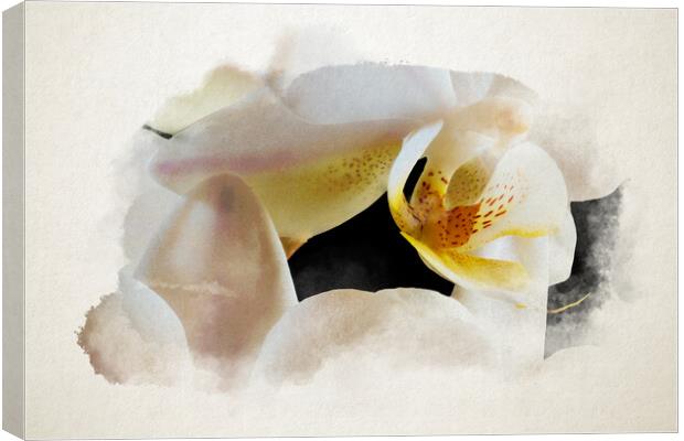 Watercolor of an inside an orchid Canvas Print by youri Mahieu