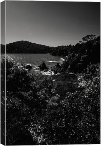 Coastal Beauty: Majestic Mountains, Clear Skies, and Tranquil Water in black and white Canvas Print by youri Mahieu