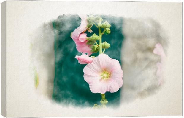 Closeup of a Hollyhock in watercolor Canvas Print by youri Mahieu