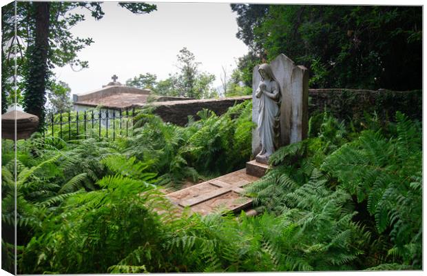 grave with ferns Canvas Print by youri Mahieu