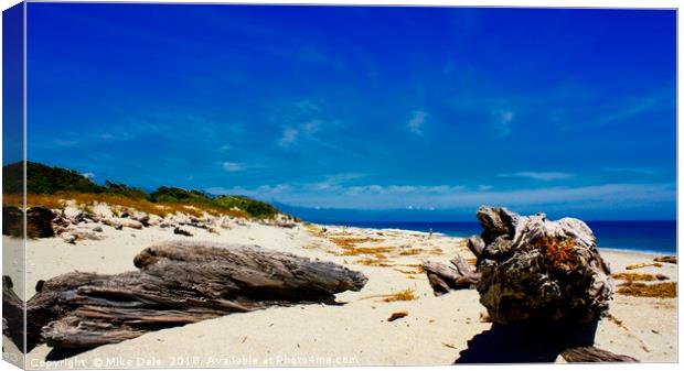 Empty beach with driftwood, North Island, New Zeal Canvas Print by Mike Dale