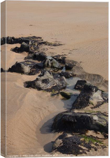 Rocks on the Beach 3 Canvas Print by Mike Dale