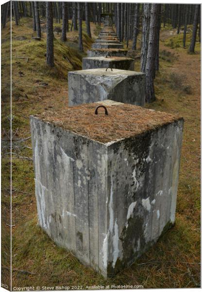 Lossiemouth Woods Tank Traps Canvas Print by Steve Bishop
