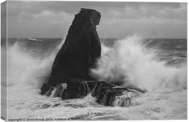 Bracing against the storm - Lizard coast Cornwall Canvas Print by Steve Bishop