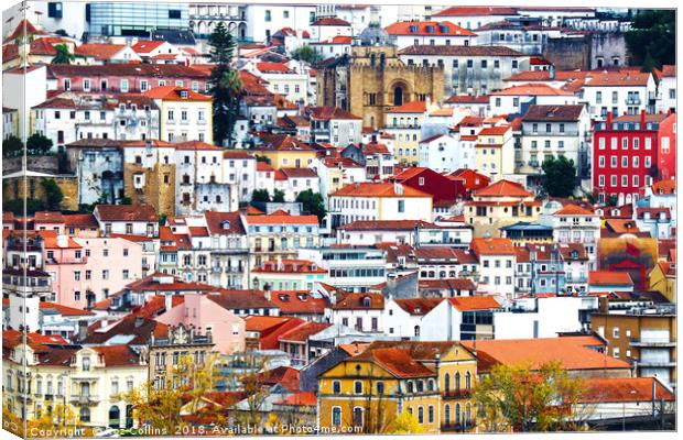The Old, Very Old and The New, Coimbra, Portugal Canvas Print by Roz Collins