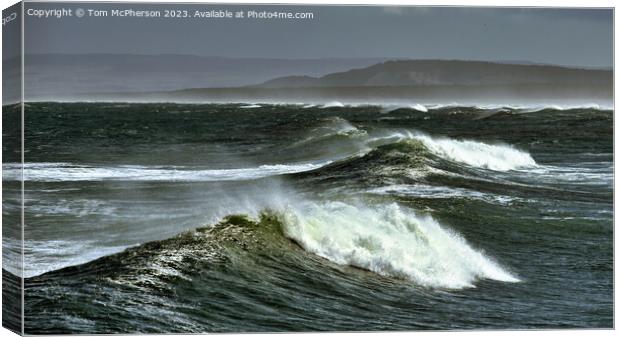 Dance of the Sea Horses at Lossiemouth Canvas Print by Tom McPherson