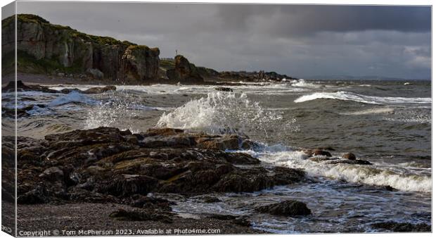 Ocean's Rugged Beauty Canvas Print by Tom McPherson