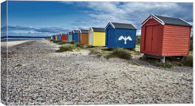 Seaside Serenity, Findhorn Beach Huts Canvas Print by Tom McPherson