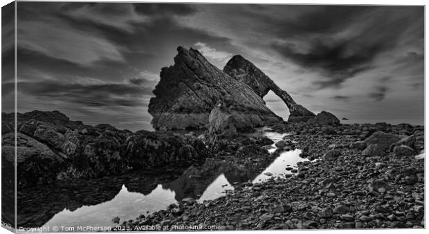 Surreal Bow Fiddle Rock Canvas Print by Tom McPherson