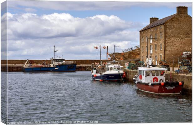 "Harbour Serenity: A Captivating Maritime Beauty" Canvas Print by Tom McPherson