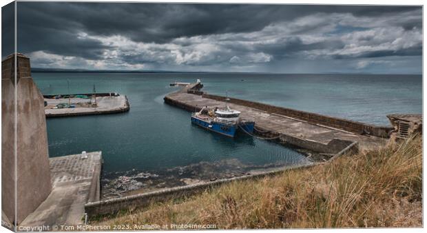 Enchanting Bustle at Burghead Harbour Canvas Print by Tom McPherson