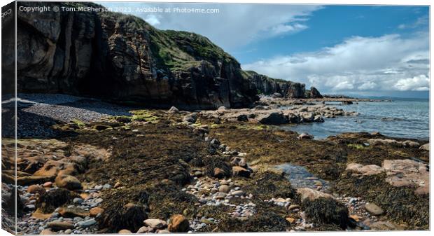 "Ethereal Beauty: A Captivating Moray Firth Seasca Canvas Print by Tom McPherson