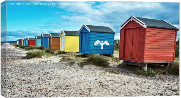 Hidden Coastal Jewel: Findhorn Beach Huts Canvas Print by Tom McPherson