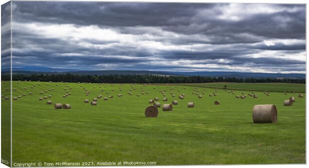 Bountiful Harvest: Sun-Kissed Hay Bales Canvas Print by Tom McPherson