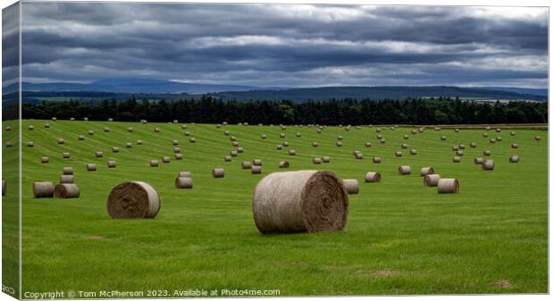 Harvested Treasures in Moray Countryside Canvas Print by Tom McPherson