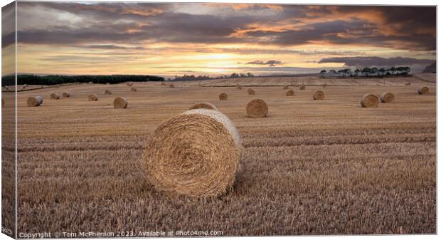 Harvest Twilight: Vitality in the Countryside Canvas Print by Tom McPherson