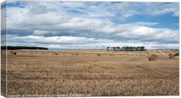 Harvest Time: A Vibrant Moray Hayfield Canvas Print by Tom McPherson