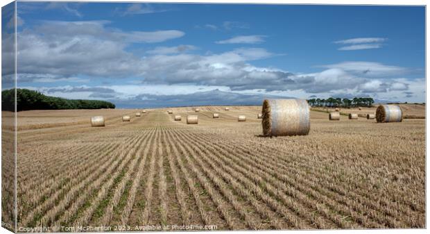 Harvest's Bounty: Hay Bales in Moray Canvas Print by Tom McPherson