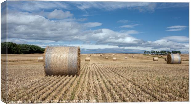 Harvest Bounty: Hay Bales in Moray Canvas Print by Tom McPherson
