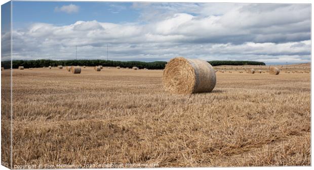 Harvest's Crescendo: Hay Bales in Moray Field Canvas Print by Tom McPherson