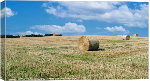 Hay Bales in Duffus Field Canvas Print by Tom McPherson