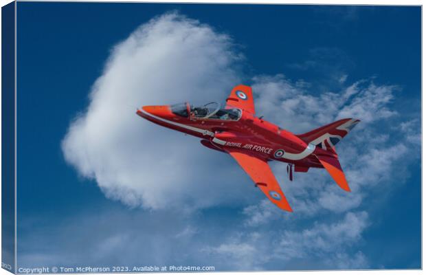 Solo Red Arrow Canvas Print by Tom McPherson