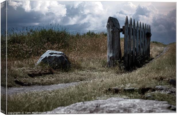 Old Gate Canvas Print by Tom McPherson