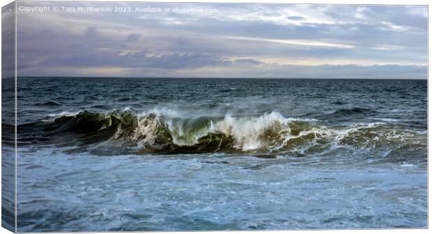 Minimanist seascape of Moray Firth Canvas Print by Tom McPherson