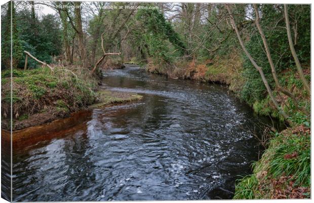 Down by the River Canvas Print by Tom McPherson